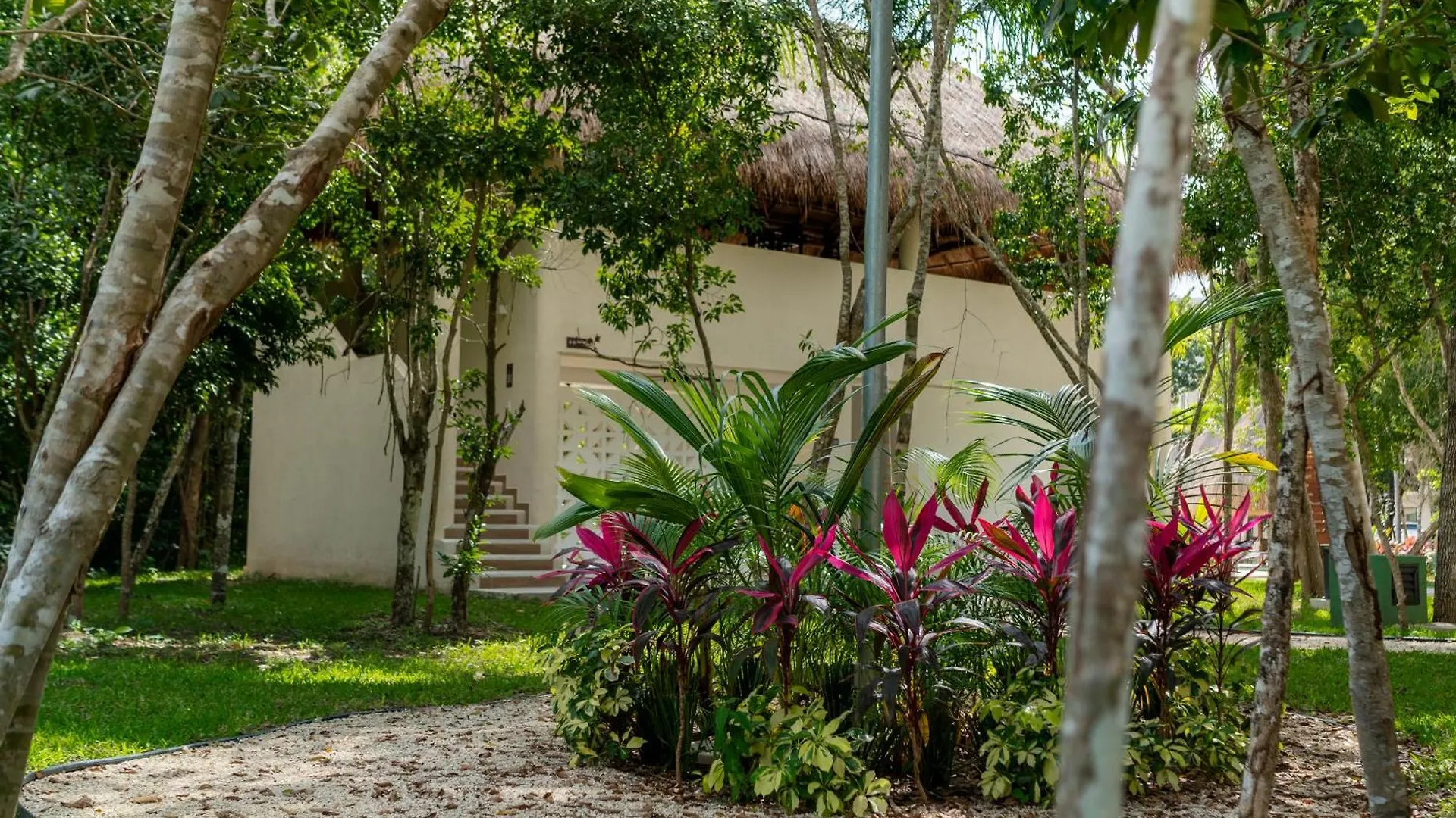 Casa Yellowstone - Hidden Jungle Puerto Morelos Mexico