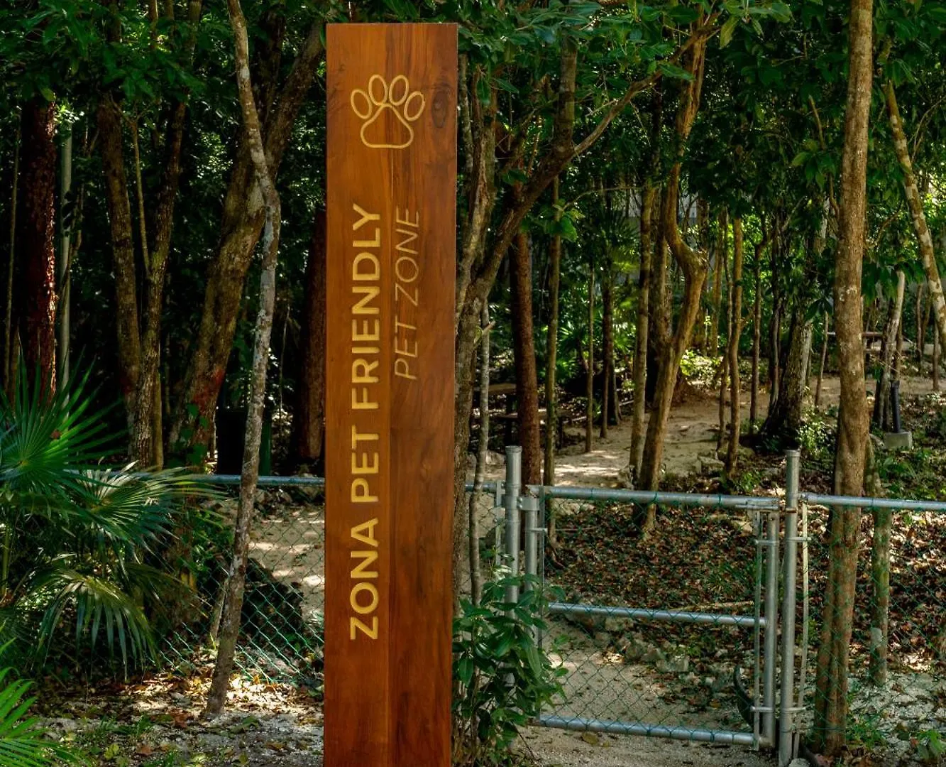 Casa Yellowstone - Hidden Jungle Puerto Morelos